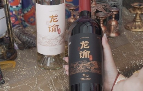 品味至臻：茅臺與龍諭巧妙搭配，高雅送禮之選